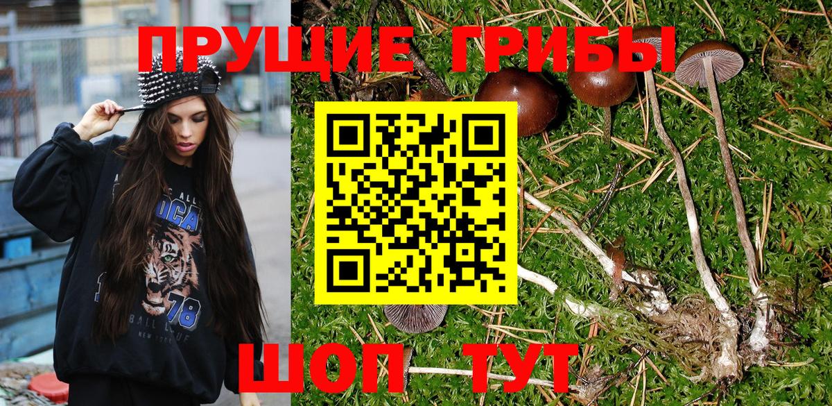 Галлюциногенные грибы MAGIC MUSHROOMS  Вход с VPN  Сорочинск 